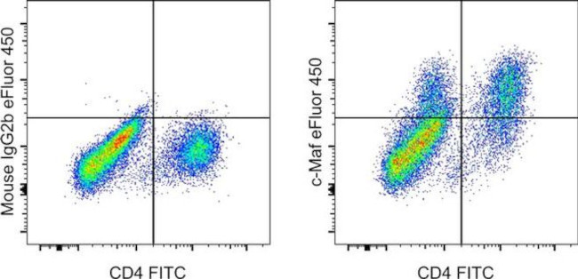 c-MAF Antibody in Flow Cytometry (Flow)