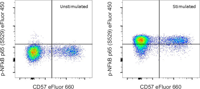 Phospho-NFkB p65 (Ser529) Antibody in Flow Cytometry (Flow)