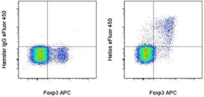 HELIOS Antibody in Flow Cytometry (Flow)