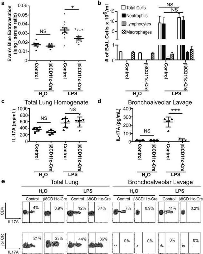 IL-17A Antibody in Flow Cytometry (Flow)