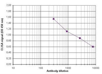 H3K4me2 Antibody in ELISA (ELISA)