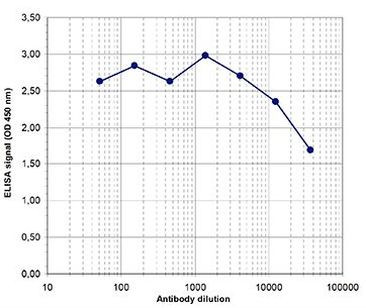 H3K9me1 Antibody in ELISA (ELISA)