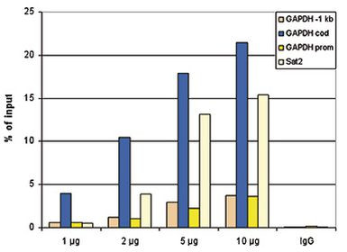 H3K36me3 Antibody in ChIP Assay (ChIP)