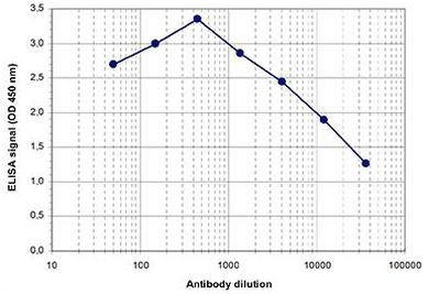 H4K8ac Antibody in ELISA (ELISA)