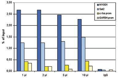 Histone H3 Antibody in ChIP Assay (ChIP)