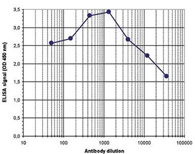 H3K36me2 Antibody in ELISA (ELISA)