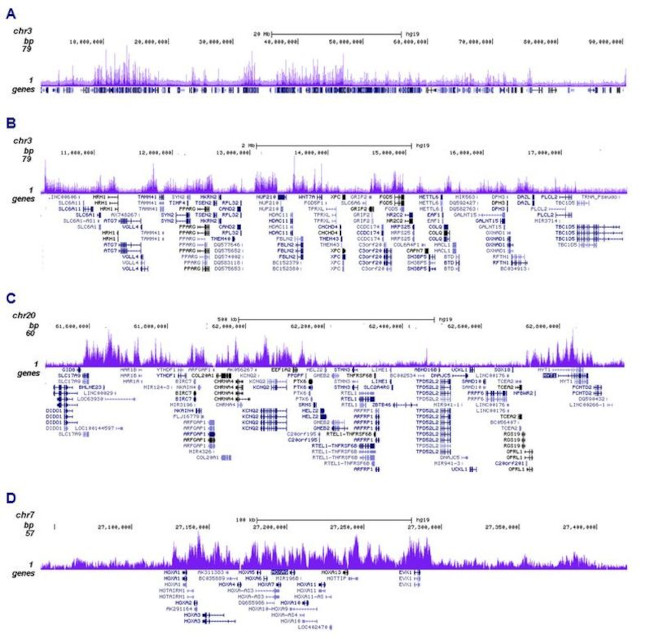 EZH2 Antibody in ChIP-Sequencing (ChIP-seq)