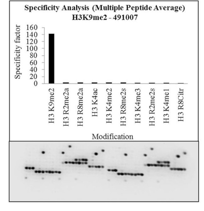 H3K9me2 Antibody in Peptide array (ARRAY)