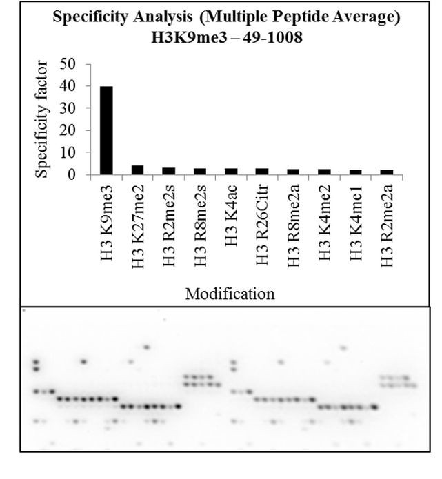 H3K9me3 Antibody