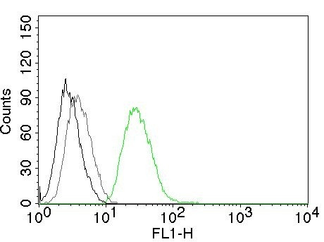 Ornithine Decarboxylase-1 (ODC-1) Antibody in Flow Cytometry (Flow)