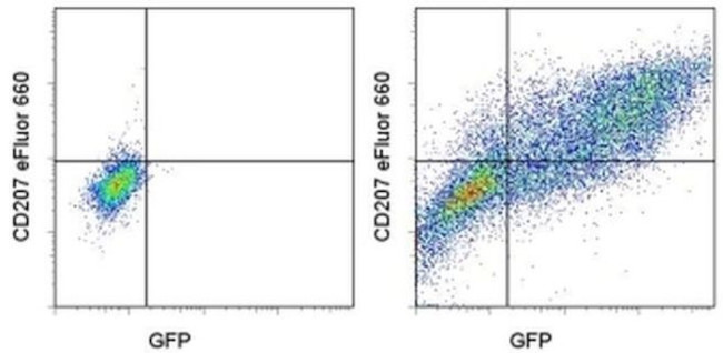 CD207 (Langerin) Antibody in Flow Cytometry (Flow)