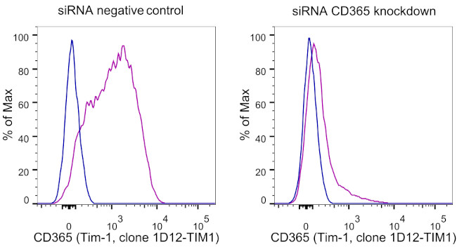 CD365 (TIM1) Antibody