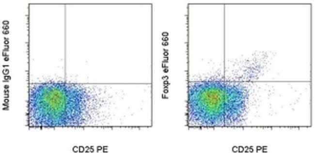 FOXP3 Antibody in Flow Cytometry (Flow)