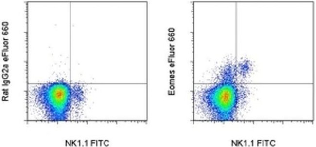 EOMES Antibody in Flow Cytometry (Flow)