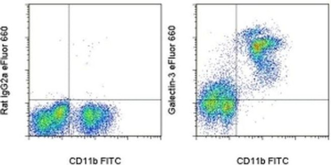 Galectin 3 Antibody in Flow Cytometry (Flow)