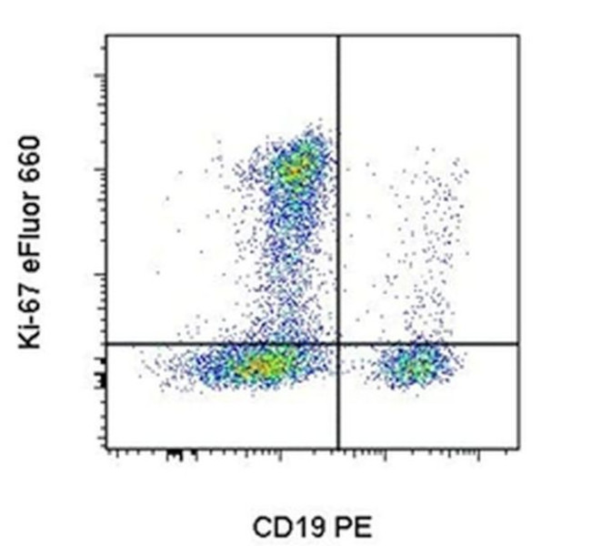 Ki-67 Antibody in Flow Cytometry (Flow)