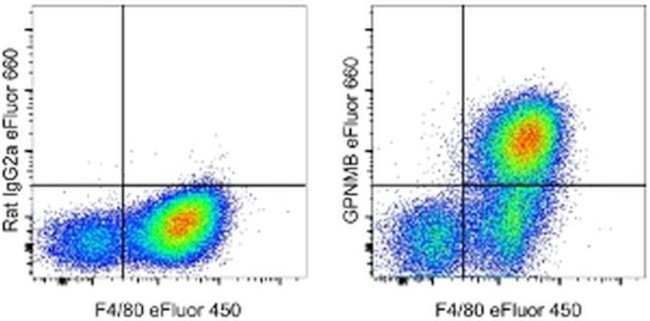 GPNMB Antibody in Flow Cytometry (Flow)