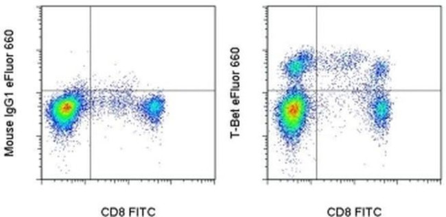 T-bet Antibody in Flow Cytometry (Flow)