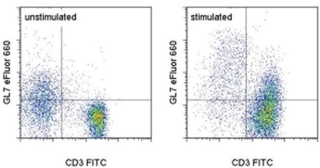 GL7 Antibody in Flow Cytometry (Flow)