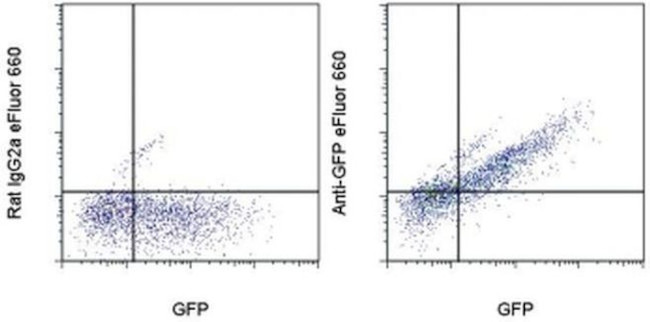 GFP Antibody in Flow Cytometry (Flow)