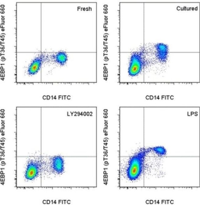 Phospho-4EBP1 (Thr36, Thr45) Antibody in Flow Cytometry (Flow)