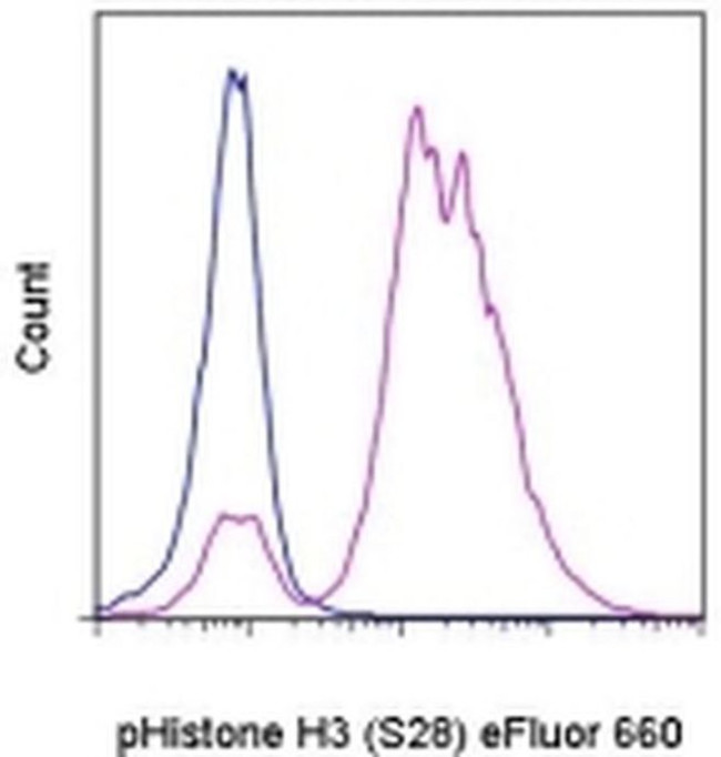 Phospho-Histone H3 (Ser28) Antibody in Flow Cytometry (Flow)