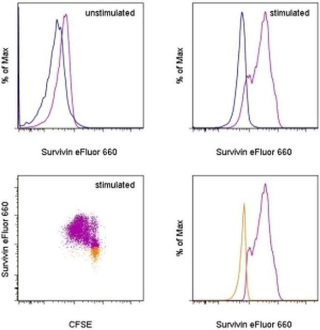 Survivin Antibody in Flow Cytometry (Flow)