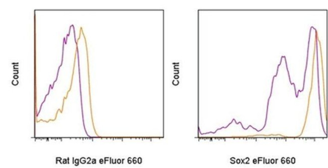 SOX2 Antibody in Flow Cytometry (Flow)