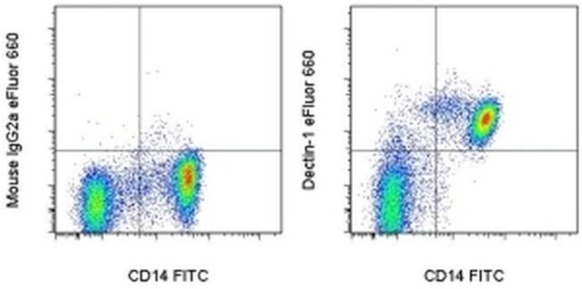 CD369 (Clec7a, Dectin-1) Antibody in Flow Cytometry (Flow)