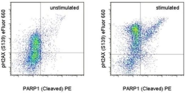 Phospho-Histone H2A.X (Ser139) Antibody in Flow Cytometry (Flow)