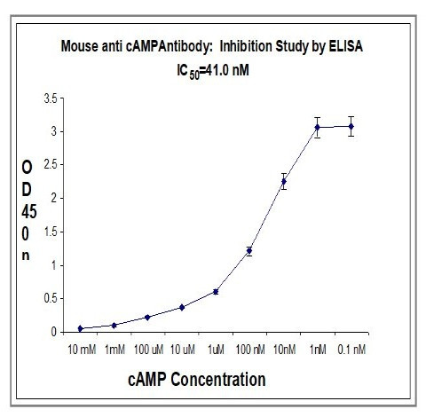 cyclic adenosine monophosphate (cAMP) Antibody in ELISA (ELISA)