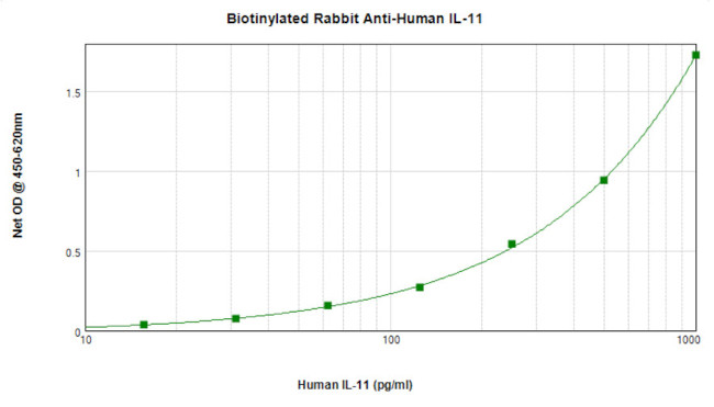 IL-11 Antibody in ELISA (ELISA)