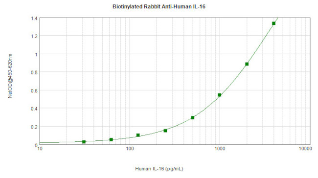 IL-16 Antibody in ELISA (ELISA)