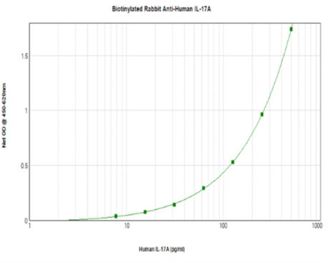 IL-17A Antibody in ELISA (ELISA)