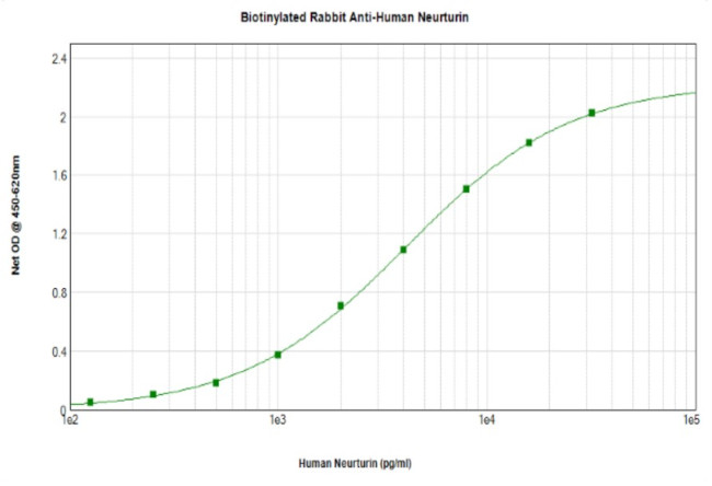 Neurturin Antibody in ELISA (ELISA)