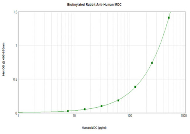 MDC Antibody in ELISA (ELISA)