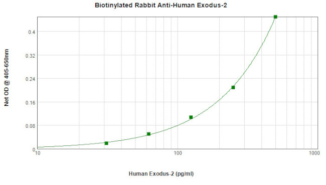 CCL21 Antibody in ELISA (ELISA)