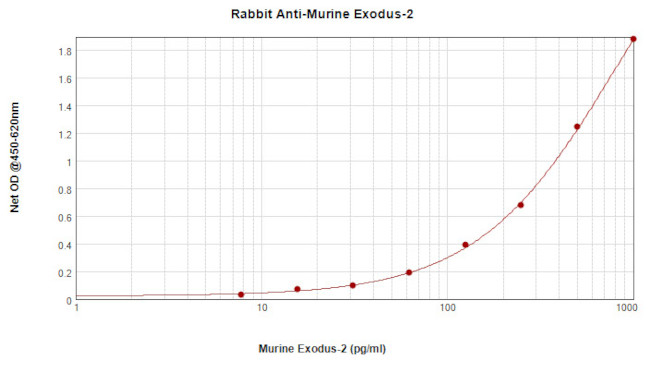 CCL21 Antibody in ELISA (ELISA)