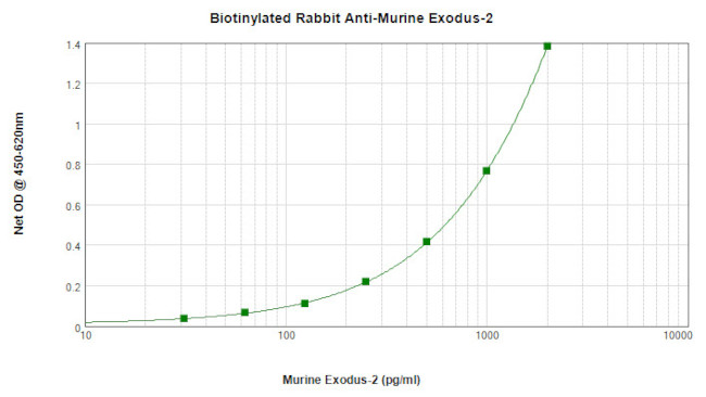 CCL21 Antibody in ELISA (ELISA)