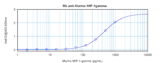 MIP-1 gamma Antibody in ELISA (ELISA)