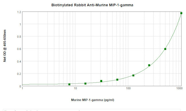 MIP-1 gamma Antibody in ELISA (ELISA)