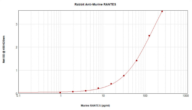 CCL5 (RANTES) Antibody in ELISA (ELISA)