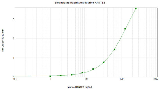 CCL5 (RANTES) Antibody in ELISA (ELISA)