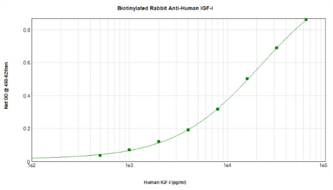 IGF1 Antibody in ELISA (ELISA)