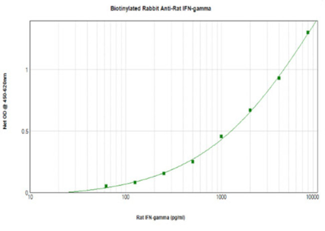 IFN gamma Antibody in ELISA (ELISA)