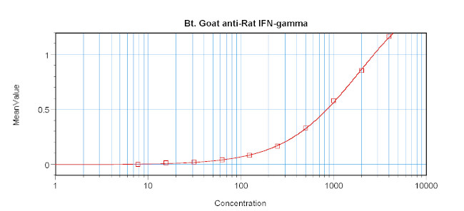 IFN gamma Antibody in ELISA (ELISA)