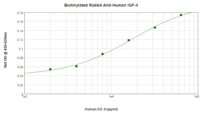 IGF2 Antibody in ELISA (ELISA)