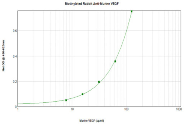 VEGF-165 Antibody in ELISA (ELISA)