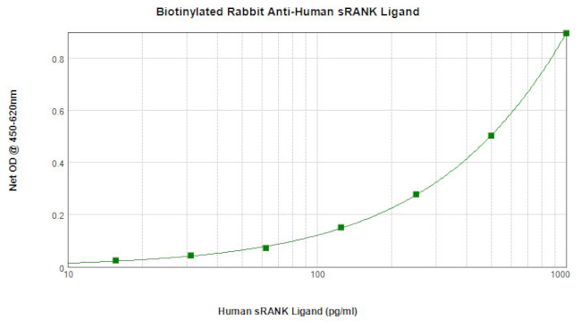 RANKL (soluble) Antibody in ELISA (ELISA)