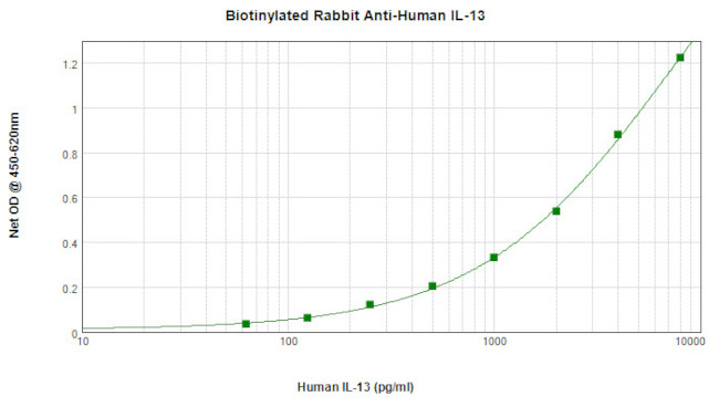 IL-13 Antibody in ELISA (ELISA)